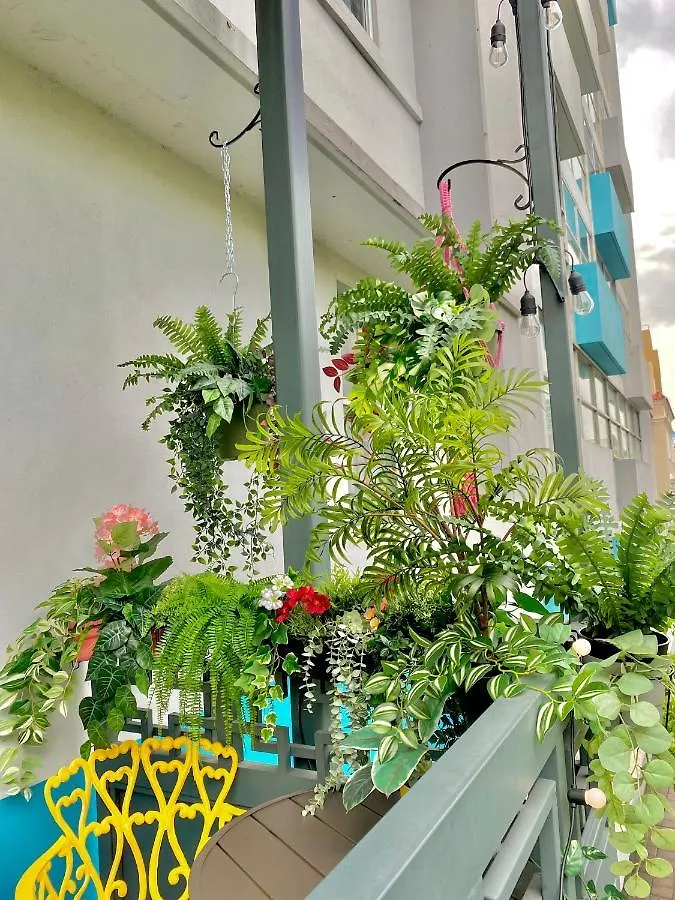 1202 Ponce De Leon Suites サンジョアン アパート